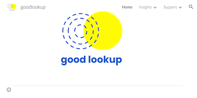 Goodlookup AI Tool